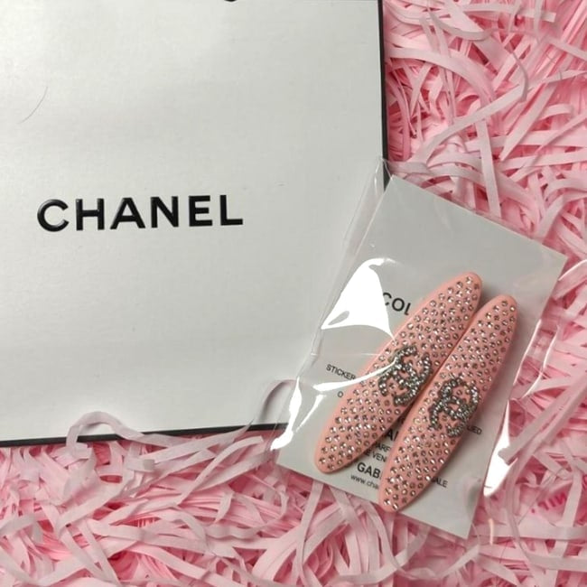 2Pc Coral Rhinestoned Long Oval Hair Clips | Beaute