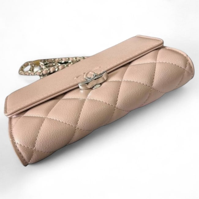Powder Pink Silver Vintage Style WOC Bag | VIP/GWP