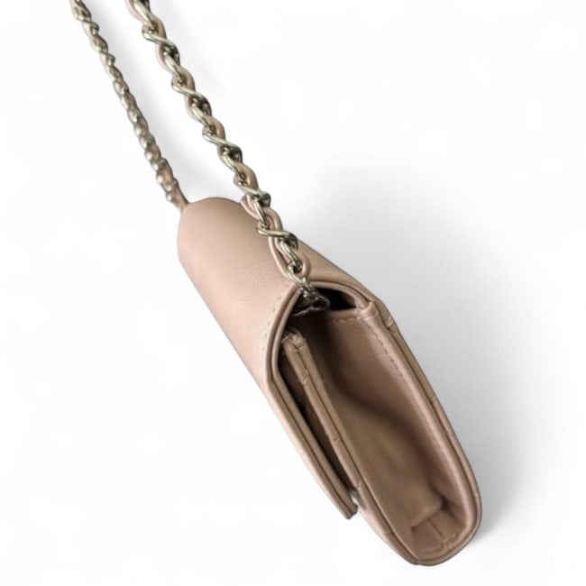 Powder Pink Silver Vintage Style WOC Bag | VIP/GWP