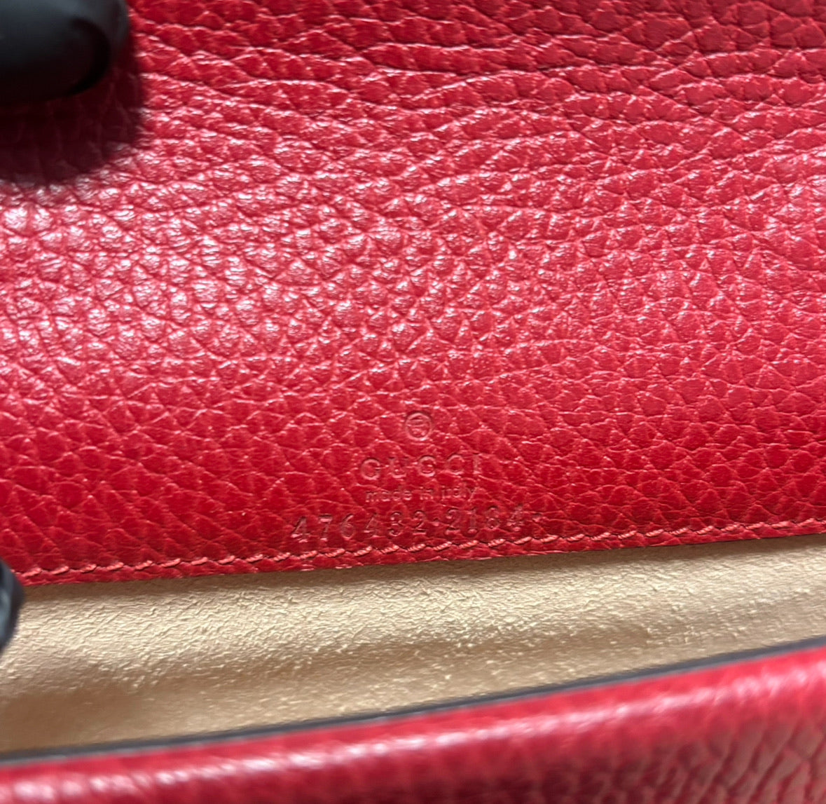 Gucci Super Mini Dionysus